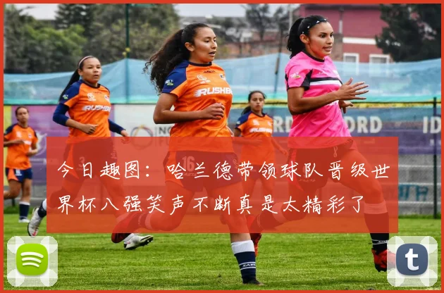 今日趣图：哈兰德带领球队晋级世界杯八强笑声不断真是太精彩了