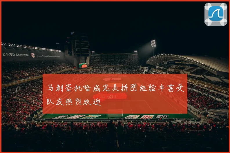马刺签托哈成完美拼图经验丰富受队友热烈欢迎