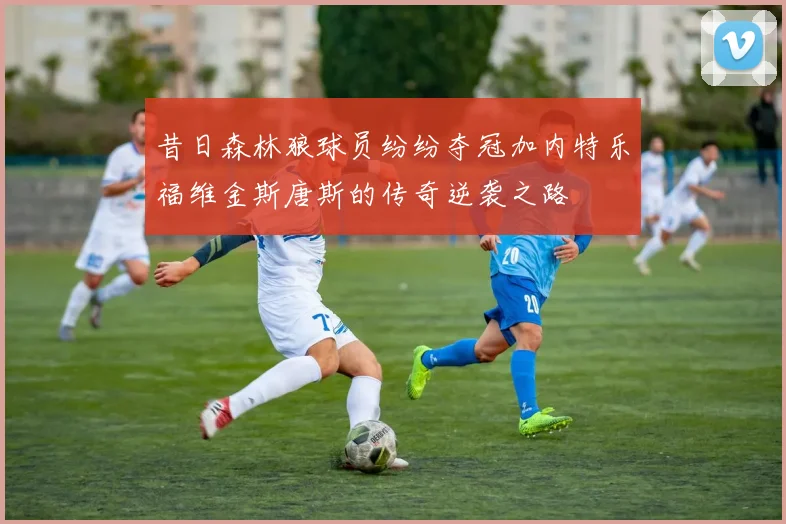 昔日森林狼球员纷纷夺冠加内特乐福维金斯唐斯的传奇逆袭之路