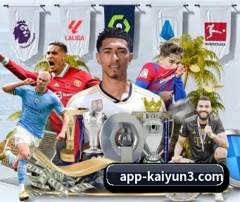 开云体育 APP(kaiyunsports)